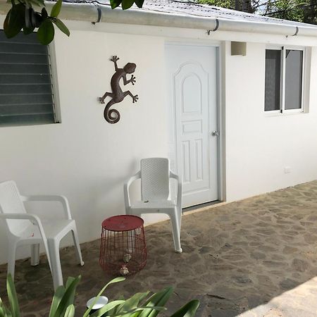 Beach Hotel Casa Nina Las Terrenas Pokoj fotografie