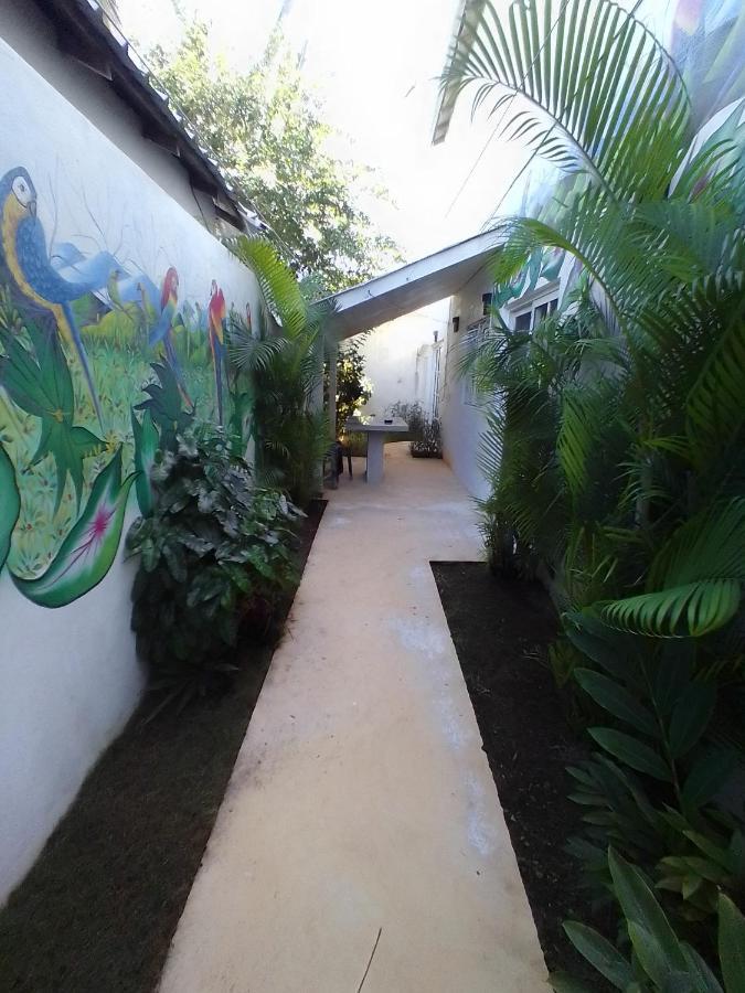 Beach Hotel Casa Nina Las Terrenas Exteriér fotografie