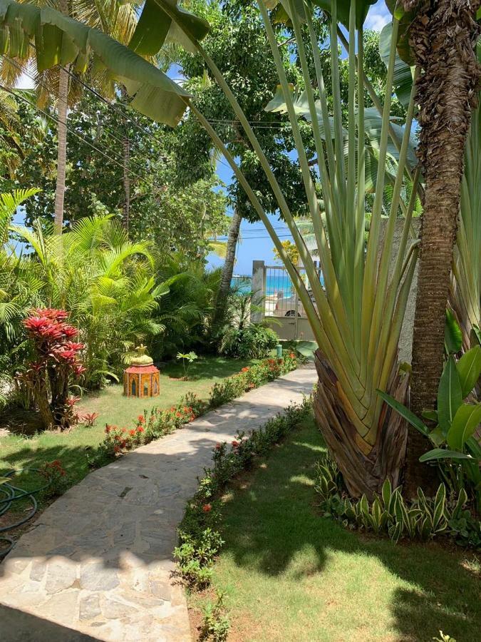 Beach Hotel Casa Nina Las Terrenas Exteriér fotografie