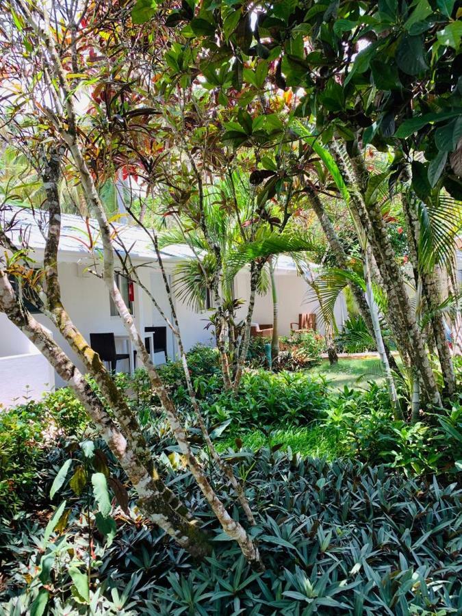 Beach Hotel Casa Nina Las Terrenas Exteriér fotografie