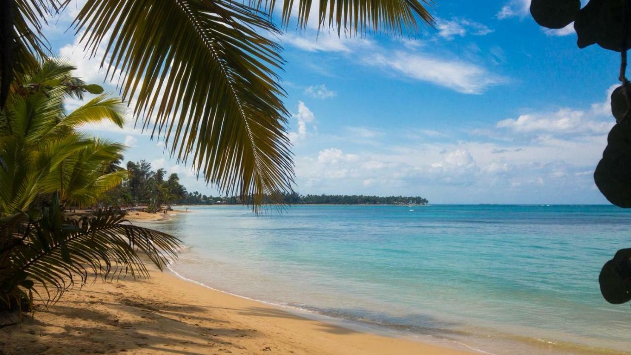 Beach Hotel Casa Nina Las Terrenas Exteriér fotografie